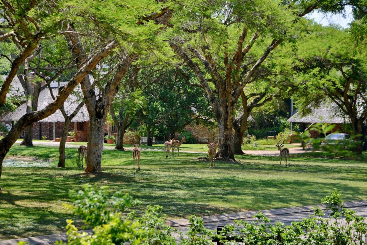 Cambalala - Luxury Units - In Kruger Park Lodge - Serviced Daily, Free Wi-Fi Hazyview Exteriér fotografie